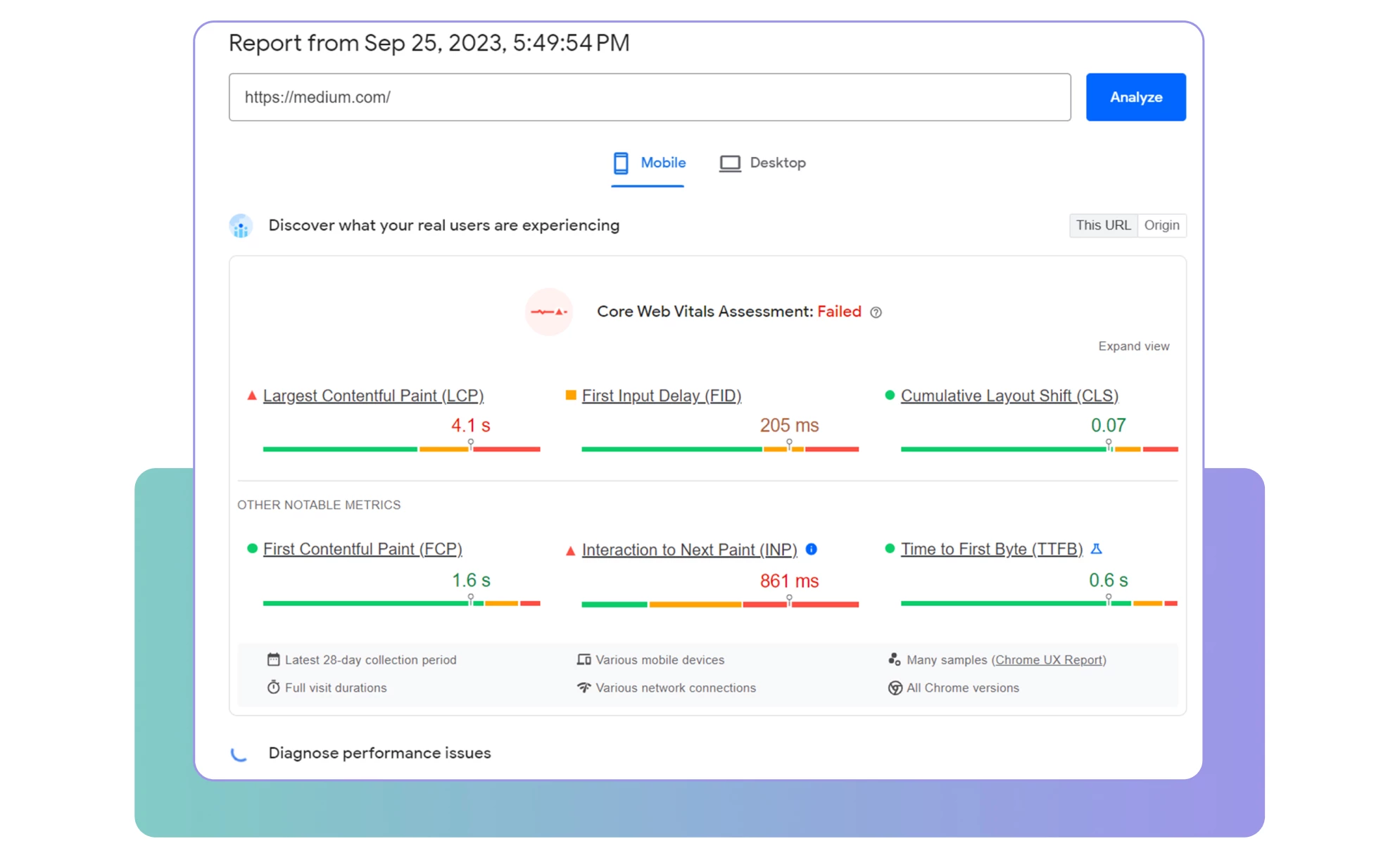 Google Pagespeed Insights tool