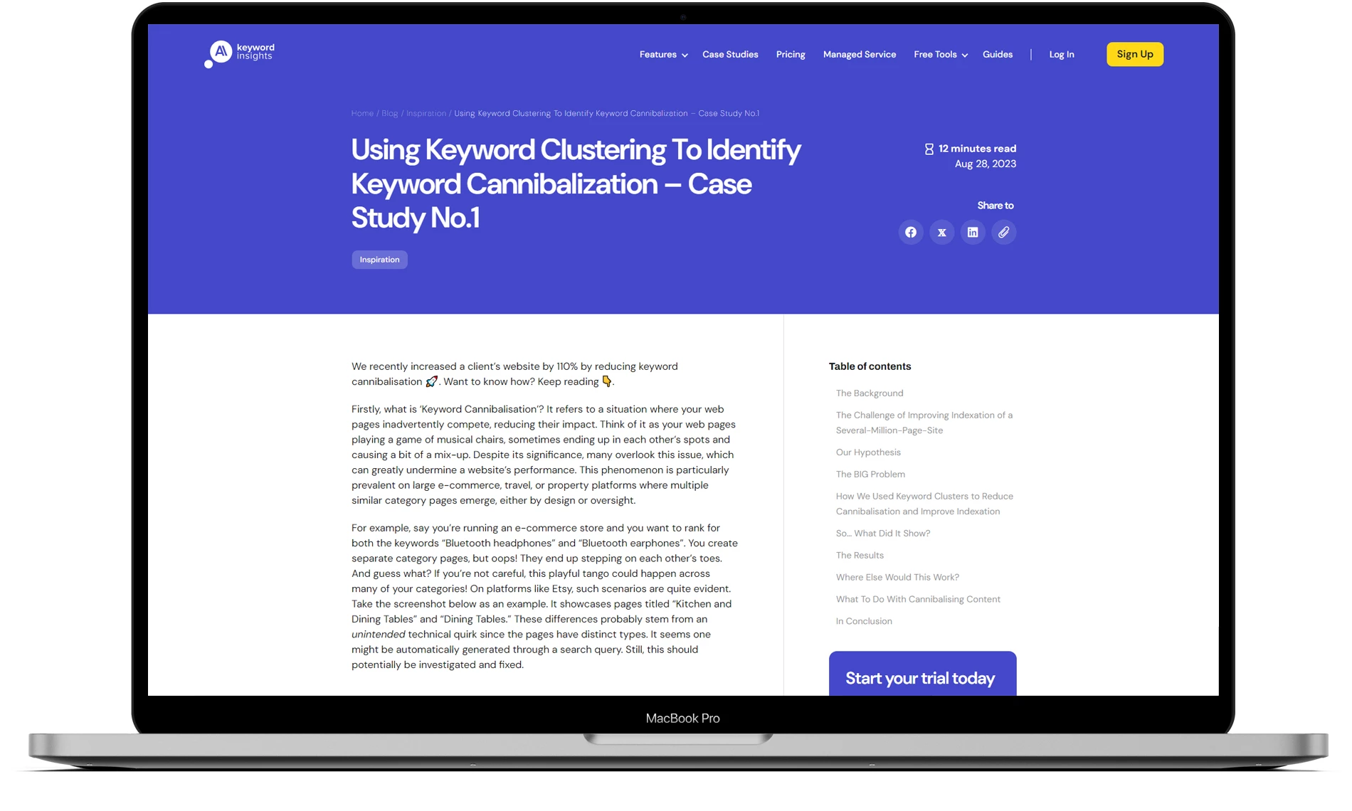 Keyword Insights